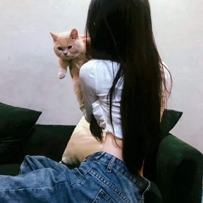 婚前试爱